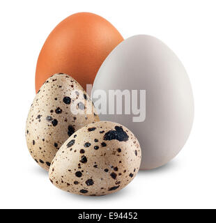 Chicken and quail eggs on white background. Stock Photo