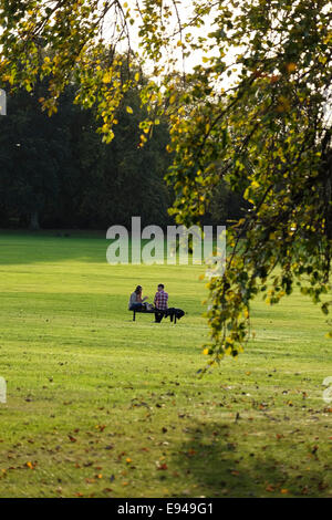 Two people, women and man sat talking on a park seat Stock Photo