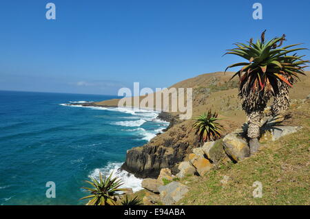 Panoramic sea views on the Wild Coast of South Africa, between Coffee Bay and Hole In The Wall. Stock Photo