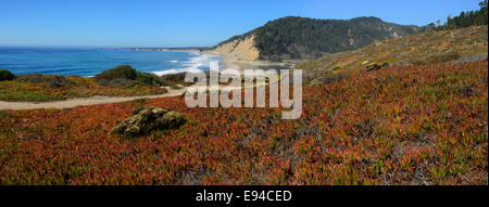 Waddell Beach and Big Basin Redwoods State Park, California CA Stock Photo