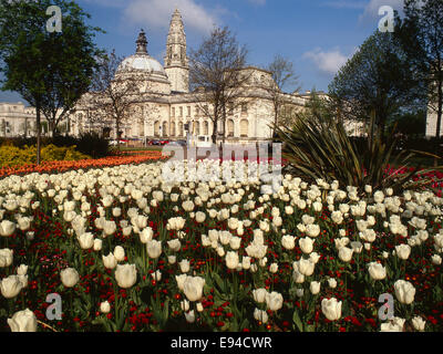 Cardiff city hall and clock tower Stock Photo