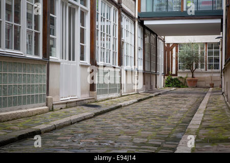 Olive tree at end of alley near Faubourg Saint Antoine, Paris, France Stock Photo