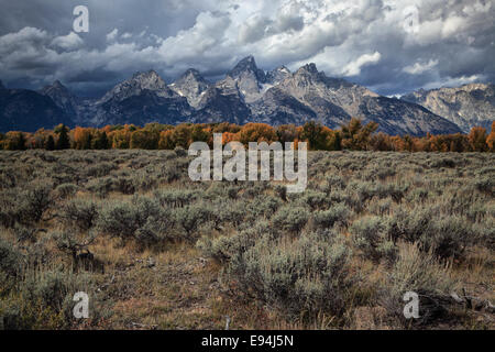 Storm clouds loom over the Tetons as seen from near Schwabacher Landing, Grand Teton National Park, Wyoming Stock Photo