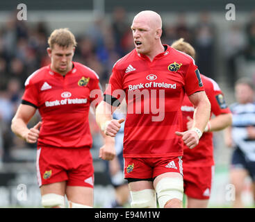 Salford, UK. 18th Oct, 2014. Paul OConnell of Munster - European Rugby Champions Cup - Sale Sharks vs Munster - AJ Bell Stadium - Salford- England - 18th October 2014 - Picture Simon Bellis/Sportimage. © csm/Alamy Live News Stock Photo