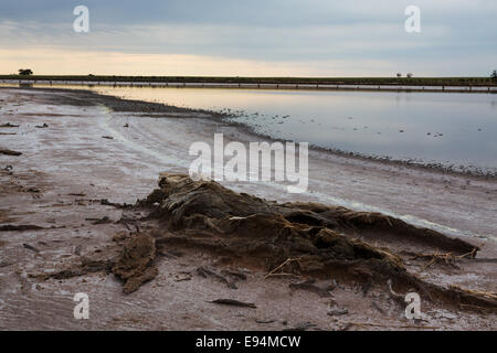 Lake Wahpool near the Victorian town of Sea Lake in Australia. An area suffering from a condition known as rising salt. Stock Photo