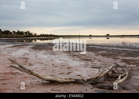 Lake Wahpool near the Victorian town of Sea Lake in Australia. An area suffering from a condition known as rising salt. Stock Photo