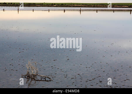 Lake Wahpool near the Victorian town of Sea Lake in Australia. An area suffering from a condition known as rising salt. Stock Photo