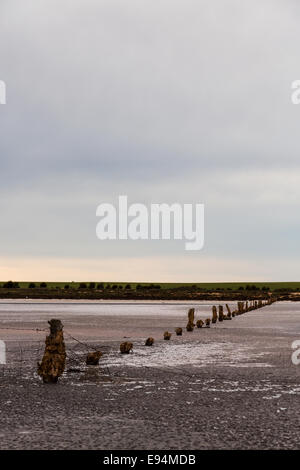 Lake Wahpool near the Victorian town of Sea Lake in Australia. An area suffering from a condition known as rising salt. Stock Photo