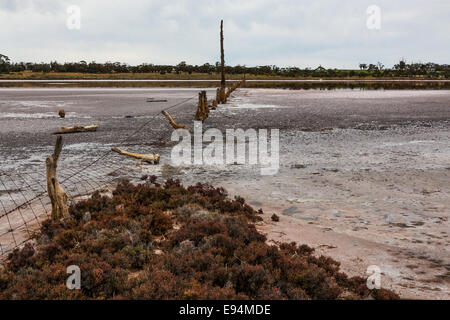 Lake Wahpool near the Victorian town of Sea Lake in Australia. An area suffering from a condition known as rising salt. Stock Photo