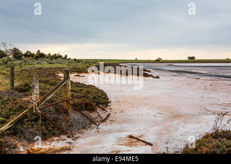 Lake Wahpool near the Victorian town of Sea Lake in Australia. An area suffering from a condition known as rising salt. Stock Photo