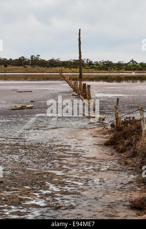 Lake Wahpool near the Victorian town of Sea Lake in Australia. An area suffering from a condition known as rising salt. Stock Photo