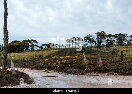 Lake Wahpool near the Victorian town of Sea Lake in Australia. An area suffering from a condition known as rising salt. Stock Photo