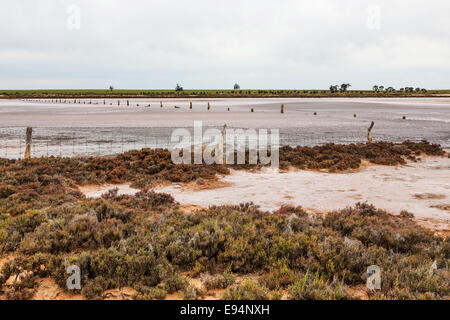 Lake Wahpool near the Victorian town of Sea Lake in Australia. An area suffering from a condition known as rising salt. Stock Photo