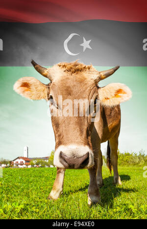 Cow with flag on background series - Libya Stock Photo