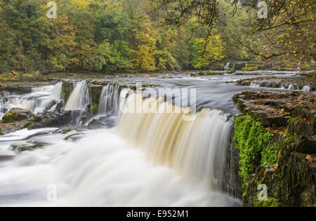 Autumn on the River Ure at Upper Aysgarth Falls in the Yorkshire Dales National Park, North Yorkshire, England, UK Stock Photo