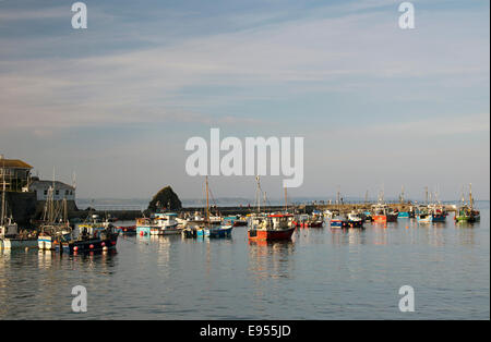 Evening light over the small fishing boats and pleasure yachts in the outer harbour of Mevagissey, Cornwall, England, UK. Stock Photo