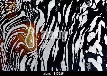 Typical foam structures on a blackwater river, Chapada Diamantina, Bahia, Brazil Stock Photo