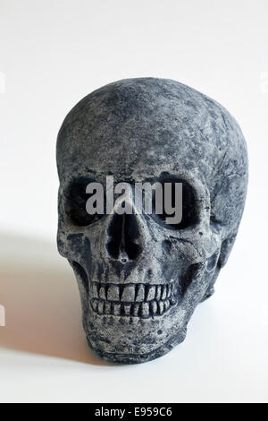Artificial human skull Stock Photo