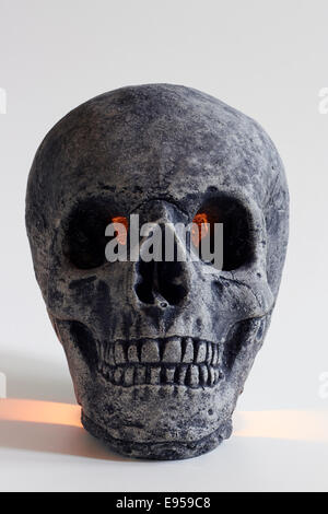 Artificial human skull Stock Photo