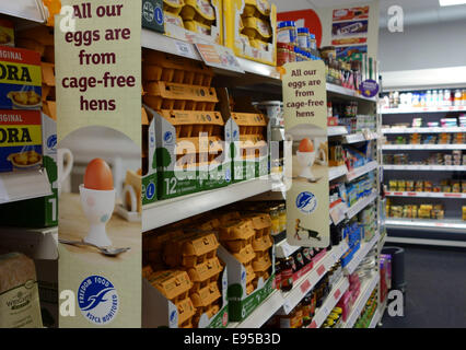Eggs from cage-free hens on sale in branch of Sainsbury's supermarkets, London Stock Photo