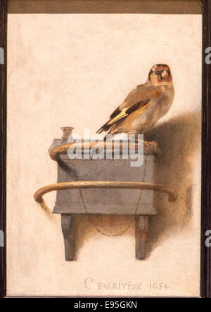 the goldfinch from dutch painter carel fabritius in mauritshuis in den haag holland