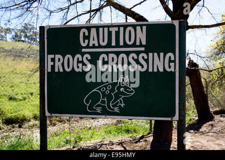 'Caution frogs crossing' sign in small town of Tulbagh in the Western Cape Province, South Africa. Stock Photo