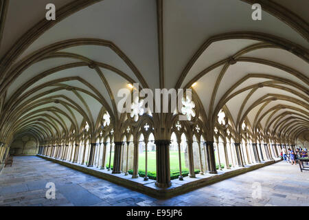 Salisbury Cathedral Cloisters Stock Photo