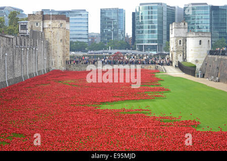 Ceramic poppies in the moat surrounding the Tower of London, London, UK. Stock Photo