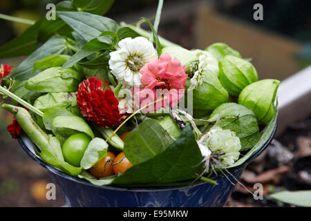 Bowl of vegetables and flowers harvested from home organic garden Stock Photo