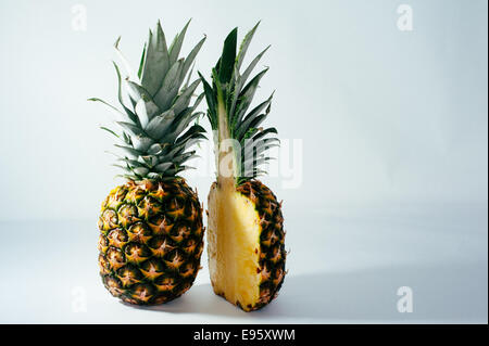 A juicy healthy yellpw pineapple fruit sliced in half with its bright yellow flesh and green spiky outside against a white background Stock Photo