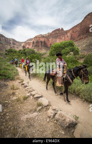 Mule riders on the Bright Angel Trail, Grand Canyon National Park, Arizona. Stock Photo