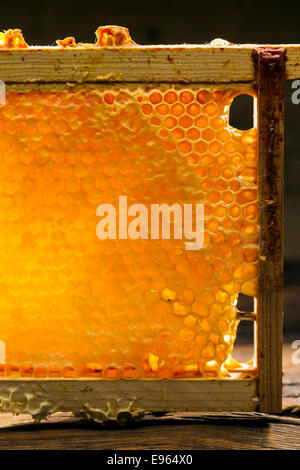 Honeycomb in a wooden frame Stock Photo