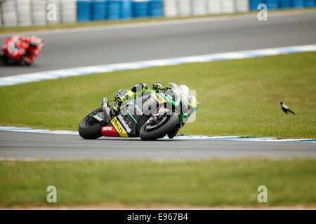 Phillip Island, Australia. 19th Oct, 2014. 2014 Tissot Australian Motorcycle Grand Prix Credit:  Jandrie Lombard/Alamy Live News Stock Photo