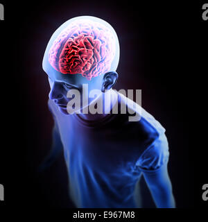 Human anatomy illustration - central nervous system with a visible brain Stock Photo