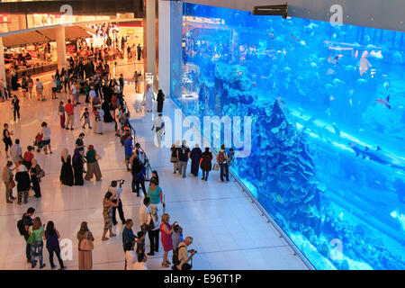 DUBAI, UAE - October 07,2014 : Aquarium in Dubai Mall - world's largest shopping mall , Downtown Burj Dubai in Dubai. Stock Photo