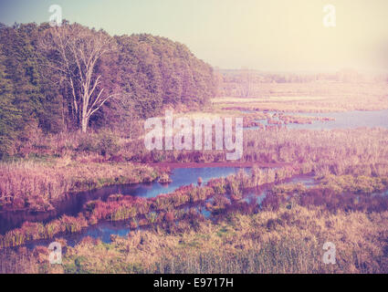 Vintage filtered nature autumn background. Stock Photo