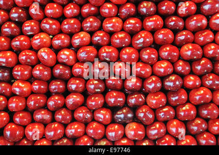 Sweet cherries, Prunus avium, Spain Stock Photo