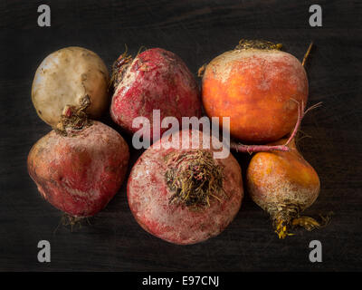 Beets in different colors on a dark background Stock Photo