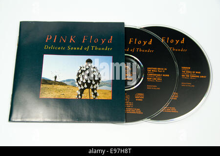 pink floyd delicate sound of thunder dvd