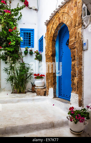 Small corner of a side alley in Sidi Bou Said, Tunisia.