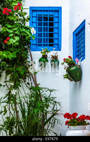 Small corner of a side alley in Sidi Bou Said, Tunisia.