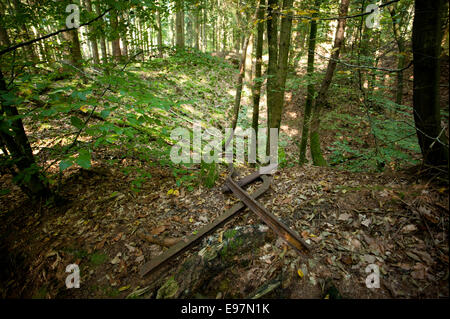 Argonne Forest WW1 Meuse-Argonne Battlefield site, France. October 2014 Showing WWI railway lines put down by the French Stock Photo