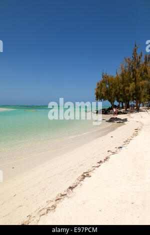 A beach on Ile aux cerfs, a small island just off the east coast of Mauritius, Indian Ocean Stock Photo