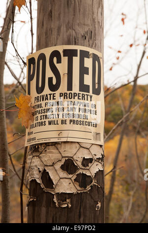 Rural woods at peak of fall season is posted to keep out hunters. Stock Photo