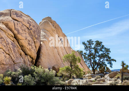 Rock climber in Hidden Valley, Joshua Tree National Park, San Bernadino County, Southern California, USA Stock Photo