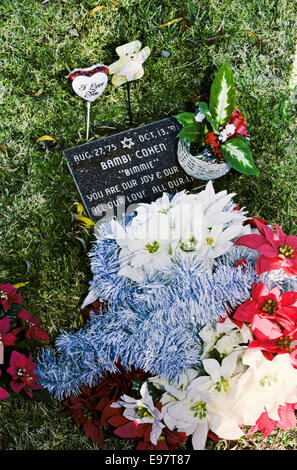 LOS ANGELES, CA – JANUARY 1: Graves of pets in pet cemeteries in Los Angeles, California on January 1, 1994. Stock Photo