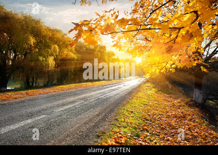 Highway through the autumn forest in sunbeams Stock Photo