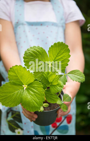 Girl gardening, holding potted plant Stock Photo