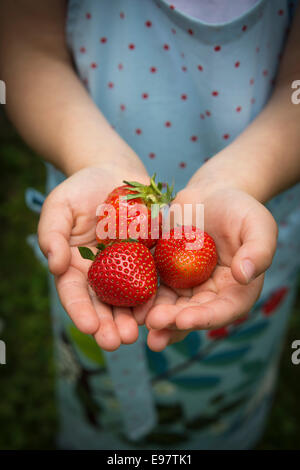 Little girl holding strawberries in her hands, close-up