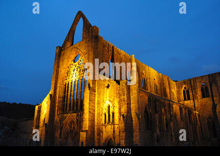 Tintern Abbey at night, Tintern, Monmouthshire, Wales Stock Photo